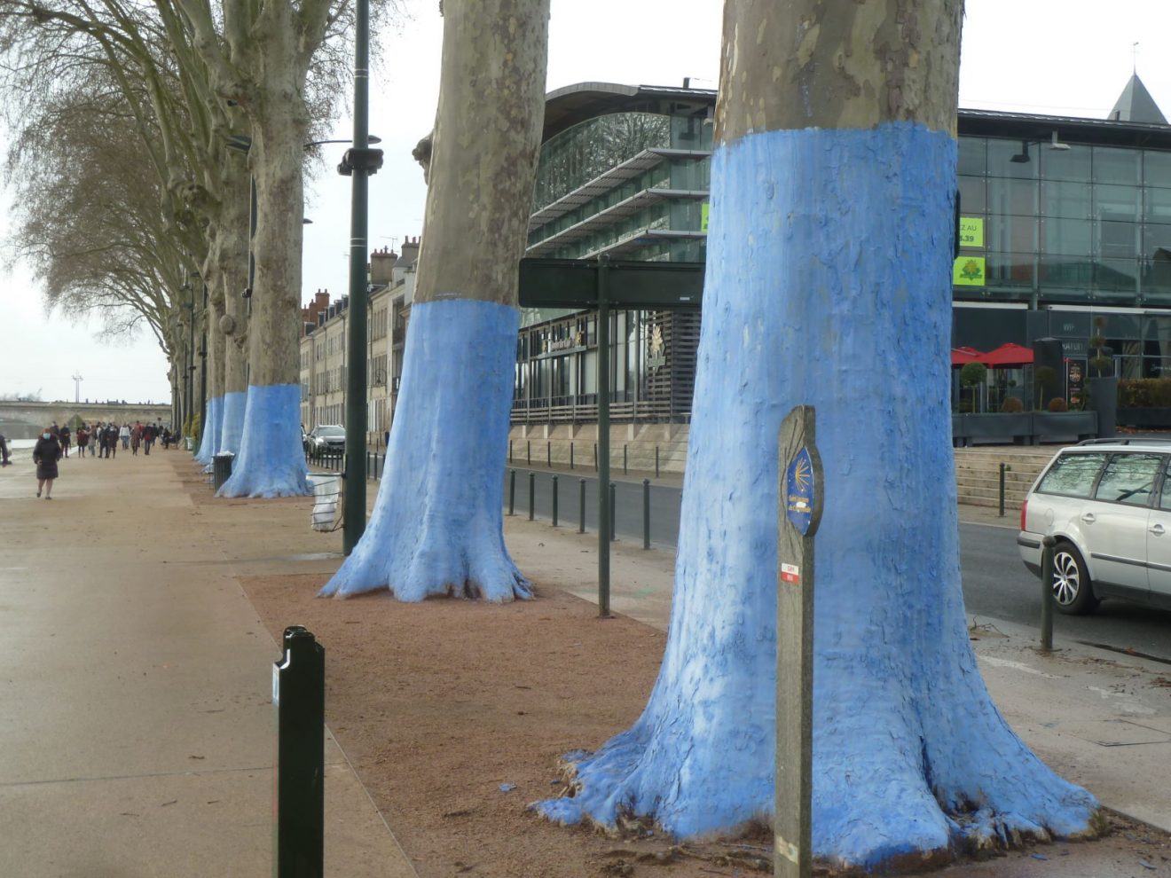 La Loire dévoile, un peu trop, ses bancs de sable - Orléans (45000)