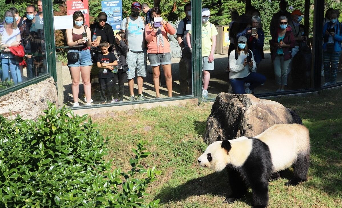 Zoo de Beauval, symbole des dérives du surtourisme Mag'CentreMagcentre