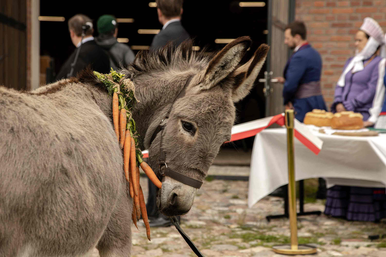 Le témoignage d'un âne sur l'état du monde Mag'CentreMagcentre