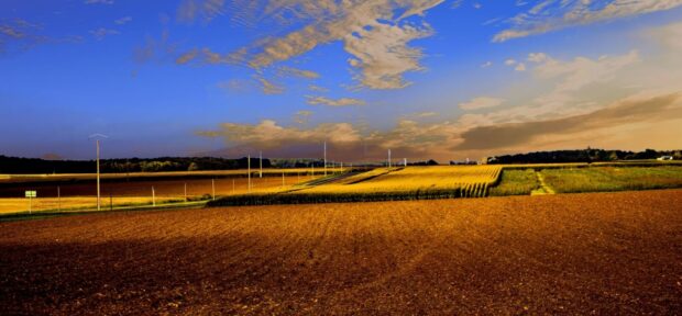 Image des champs de la Beauce