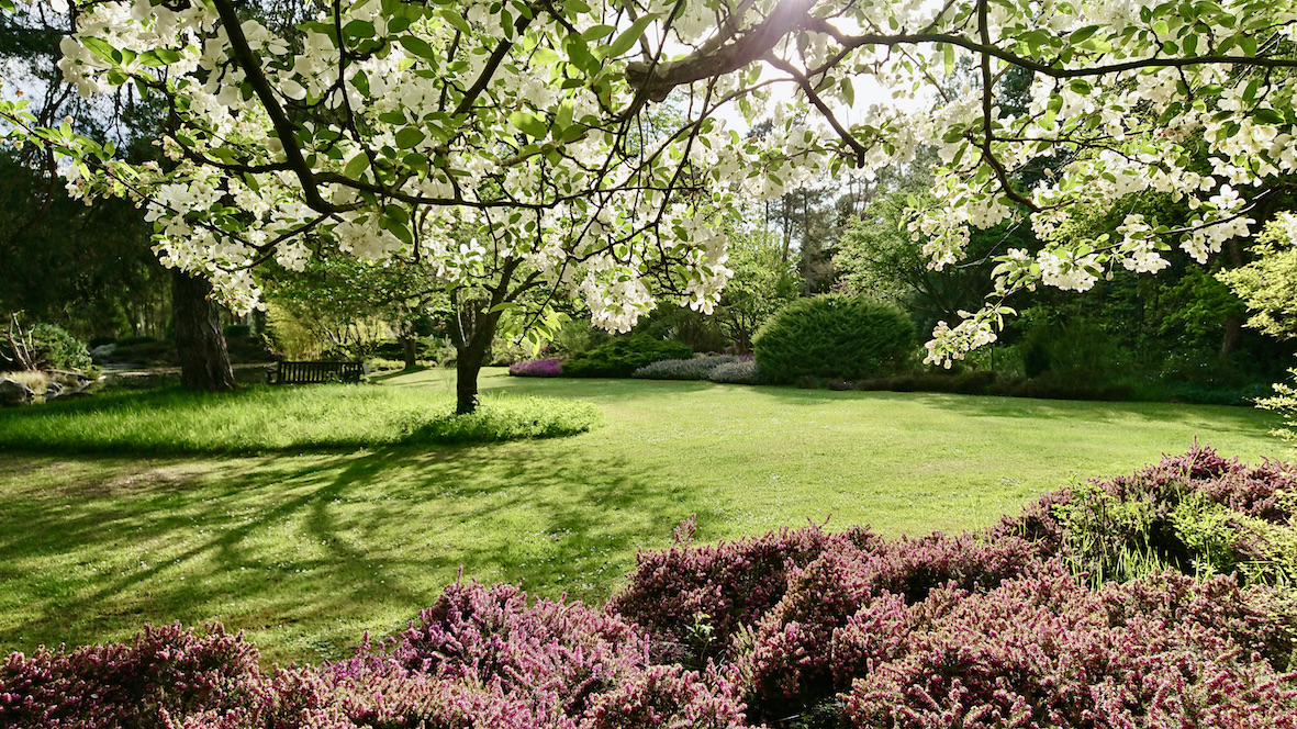 Loiret : fêtez Hanami ce dimanche 29 mars à l’Arboretum des Grandes Bruyères !